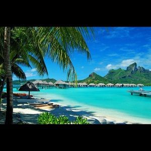 Meet your Posher, Regina